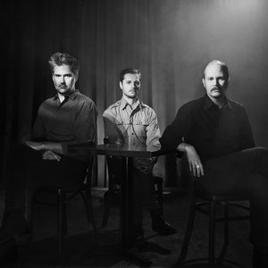 Аватар для Timber Timbre