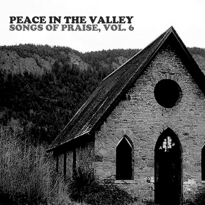 Hank Williams Senior - Peace In The Valley Songs Of Praise, Vol. 6 - Zortam Music