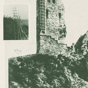 Falling, I Thought I Caught A Glimpse Of Paradise