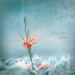 Интро cover