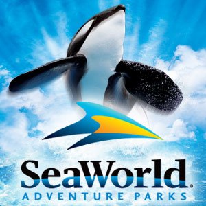 Seaworld 的头像