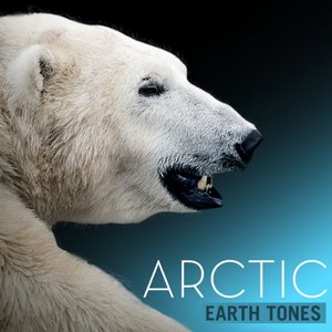 Earth Tones: Arctic