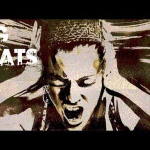 DG Beats 的头像