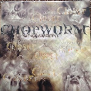 Chopworm 的头像