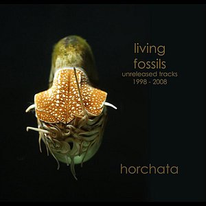 Living Fossils - Unreleased Tracks 1998 - 2008