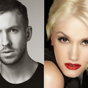 Calvin Harris feat. Gwen Stefani 的头像