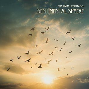 Sentimental Sphere