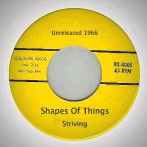 Shapes of Things 的头像