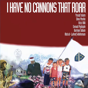 I Have No Cannons That Roar cover
