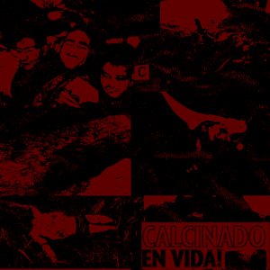 Calcinado en Vida