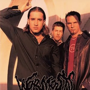 Wormosis 的头像