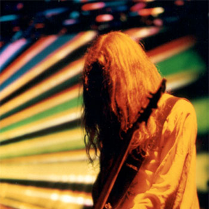 Sula Bassana photo provided by Last.fm