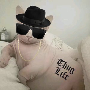 Avatar for Meatxball
