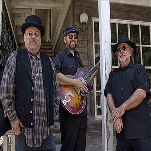 Guest Ranch Ranger(The music of Hank Williams, Elvis Presley, Johnny Cash, Bonanza, and their own original music.)