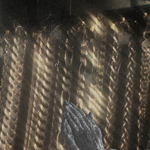 Image for 'mntjy'