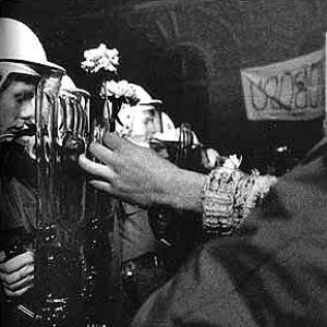 Velvet Revolution 的头像