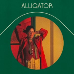 Alligator