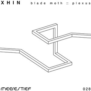 Plexus / Blade Moth