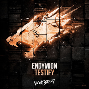 Endymion - Testify - Zortam Music
