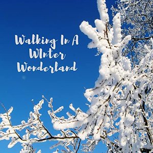 Walking In A Winter Wonderland