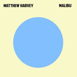 “Matthew Harvey”的封面