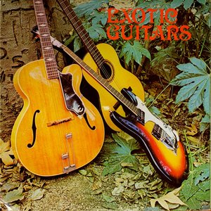 Exotic Guitars 的头像