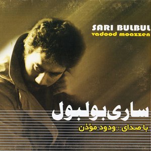 Sari Bulbul