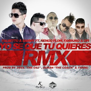 Yo Se Que Tu Quieres (Remix) [feat. Ñengo Flow, Farruko & Opi]