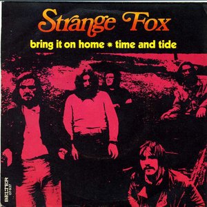 Strange Fox 的头像