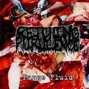 Purge Fluid