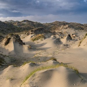 Dune Worship