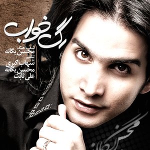 Mohsen Yegane (www.MyMusicBaran.Org) 的头像