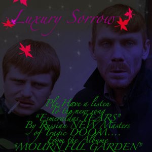 Image for 'Luxury Sorrow'