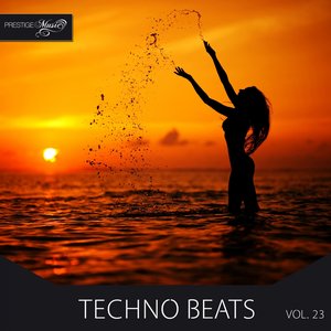 Techno Beats, Vol. 23