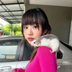 Avatar for Panda Jidarpha