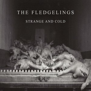 Strange and Cold