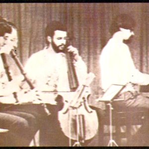Conjunto Musikantiga de São Paulo 的头像