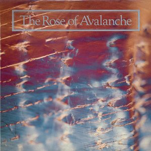 The Rose Of Avalanche