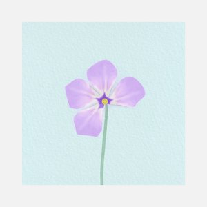 Lovesme(Not) - EP