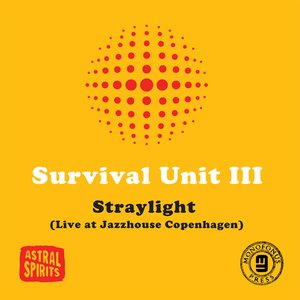 Straylight (Live at Jazzhouse Copenhagen)