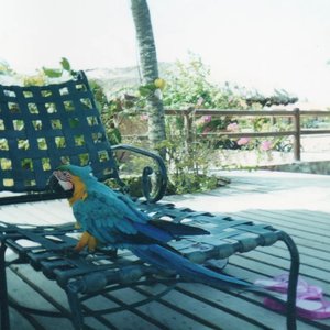 Isla Margarita [Explicit]