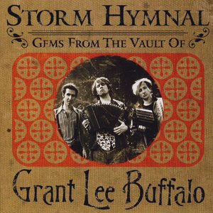 Image pour 'Storm Hymnal: Gems from the Vault of Grant Lee Buffalo'