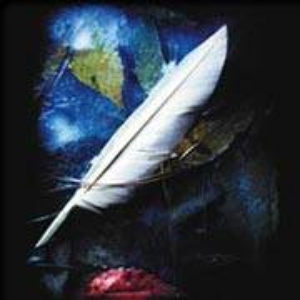 Mirage on the ice cover