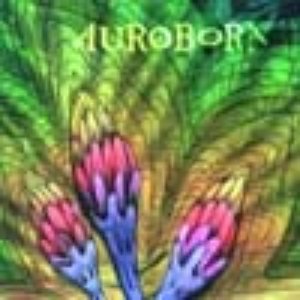 Aurobora 的头像