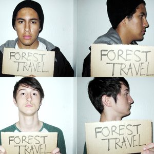 Forest Travel 的头像