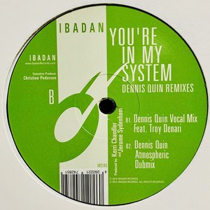 You're in My System (Dennis Quin Remixes)