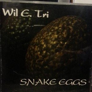 Snake Eggs