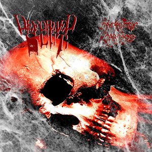 Cadaveric Carcass (Demo)