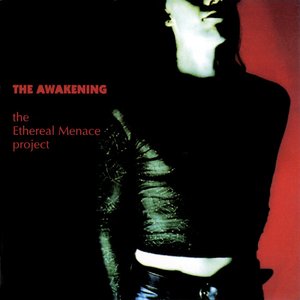 The Ethereal Menace Project cover