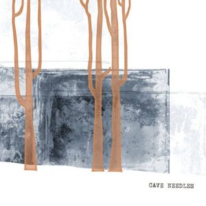 Cave Needles